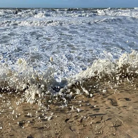 In Near The Seafront Ostend