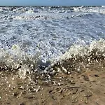 In Near The Seafront Oostende